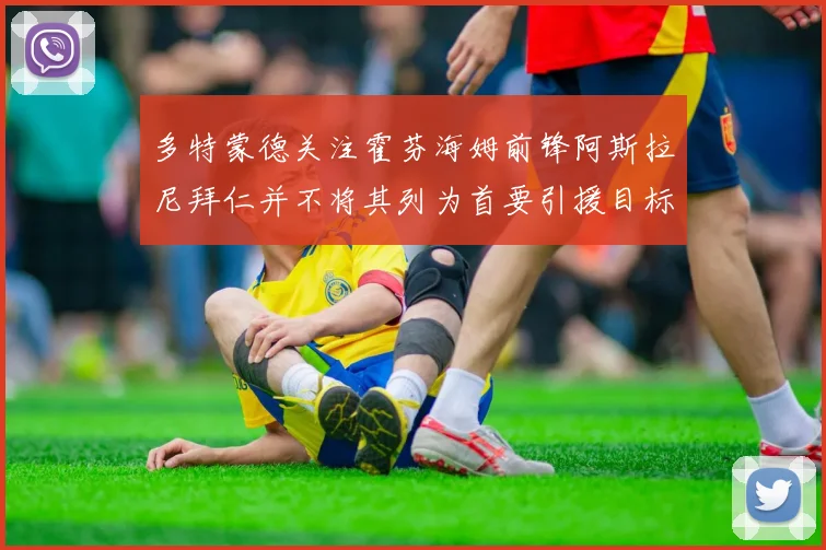 多特蒙德关注霍芬海姆前锋阿斯拉尼拜仁并不将其列为首要引援目标