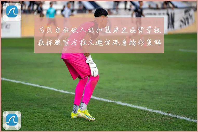 戈贝尔狂砍八记扣篮库里成背景板森林狼官方推文邀你观看精彩集锦